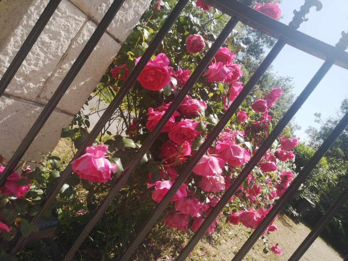 Le Mouton Bed & Breakfast Blaison Bagian luar foto