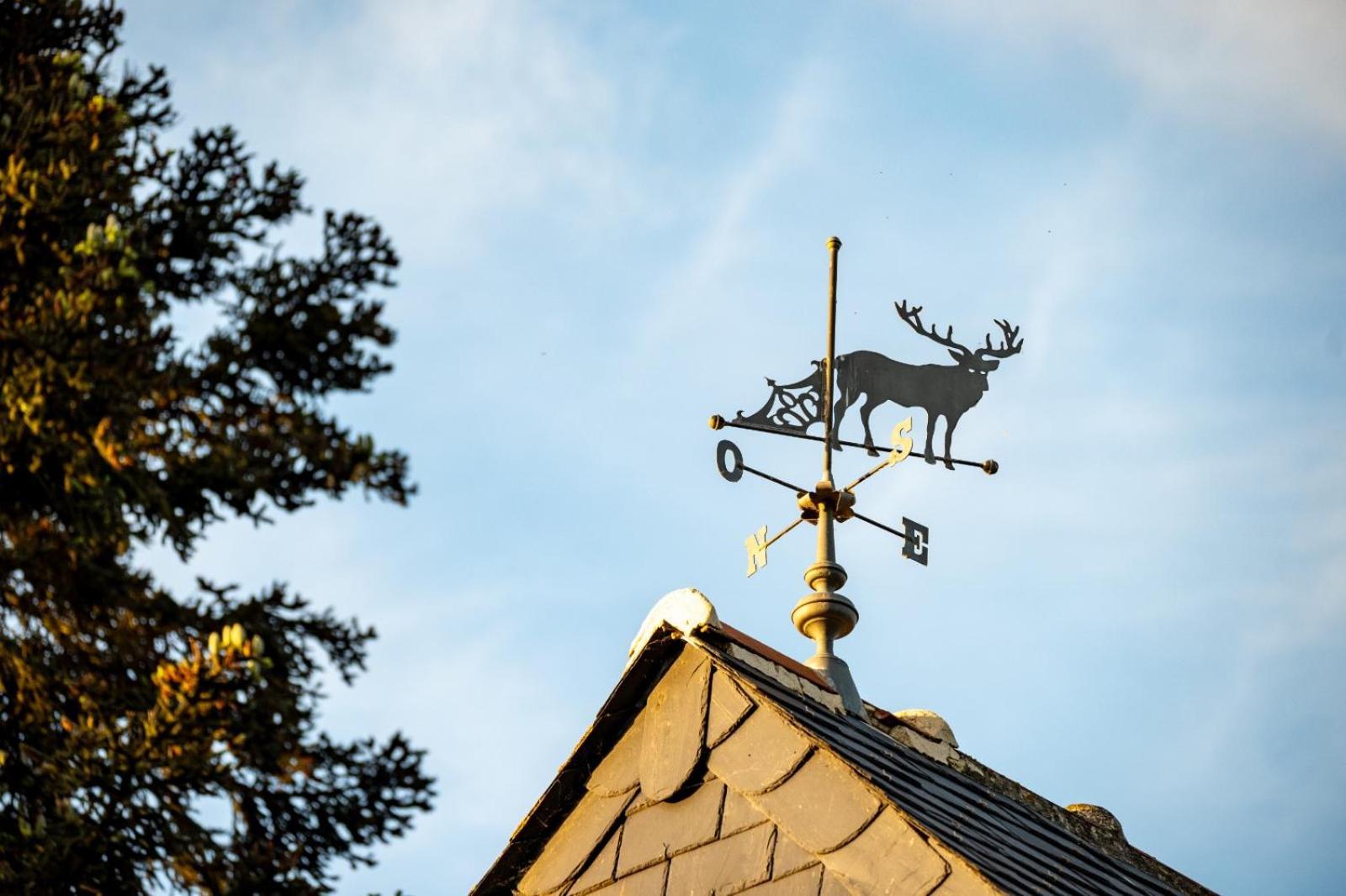 Le Mouton Bed & Breakfast Blaison Bagian luar foto