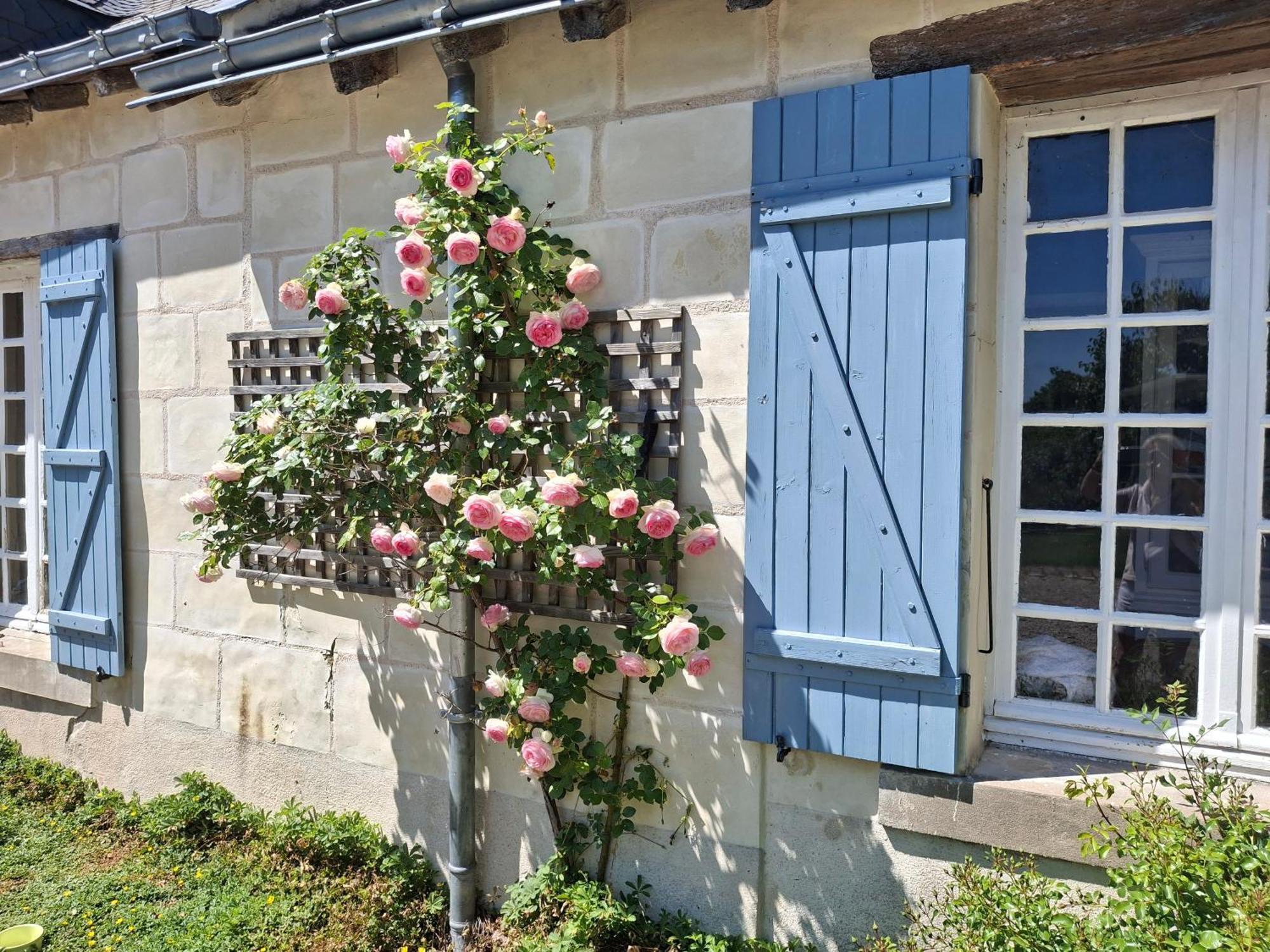 Le Mouton Bed & Breakfast Blaison Bagian luar foto