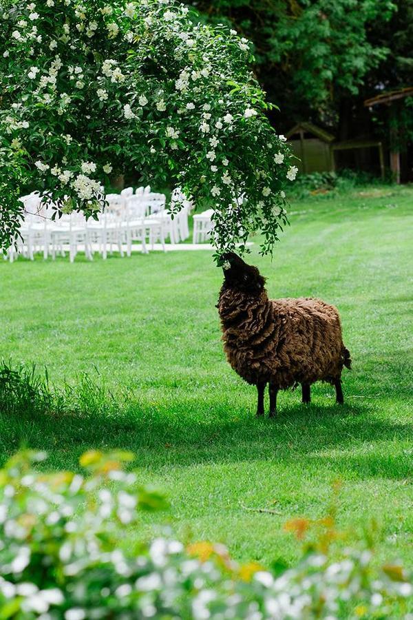 Le Mouton Bed & Breakfast Blaison Bagian luar foto